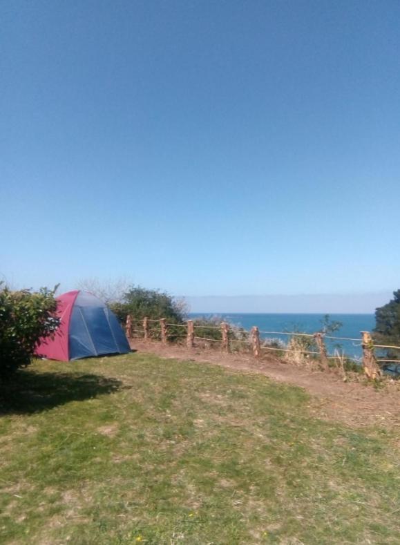 Aire De Camping Car, Caravane, Tente Emplacement Nu Avec Electricite Petit Camping Hotel Plestin-les-Greves Exterior photo